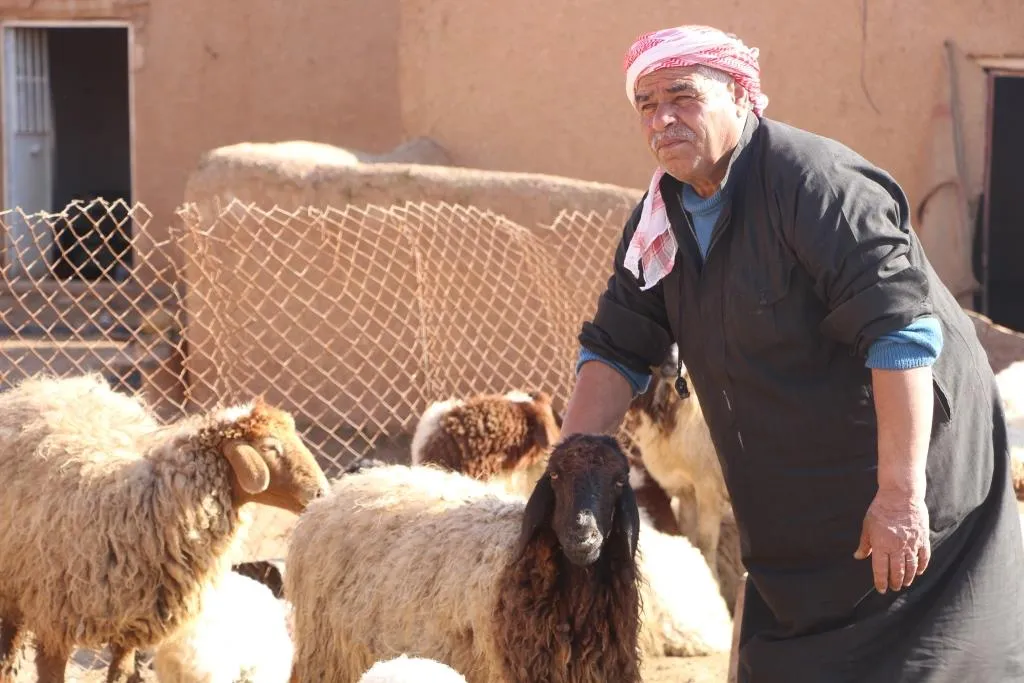 Di nav êrişan de berxwedana şivanekî