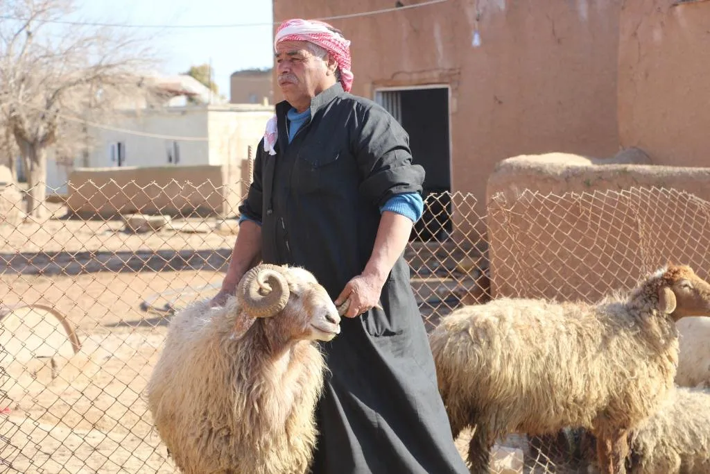 Di nav êrişan de berxwedana şivanekî