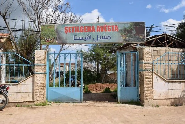 ​​​​​​​Şitilgeha Avesta şêniyan teşwîqî çandina daran dike
