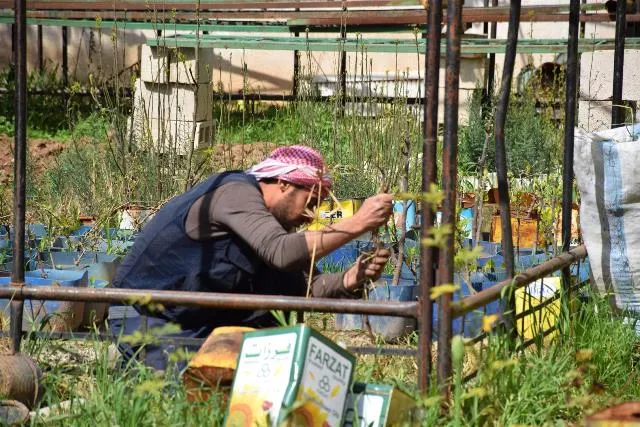 ​​​​​​​Şitilgeha Avesta şêniyan teşwîqî çandina daran dike
