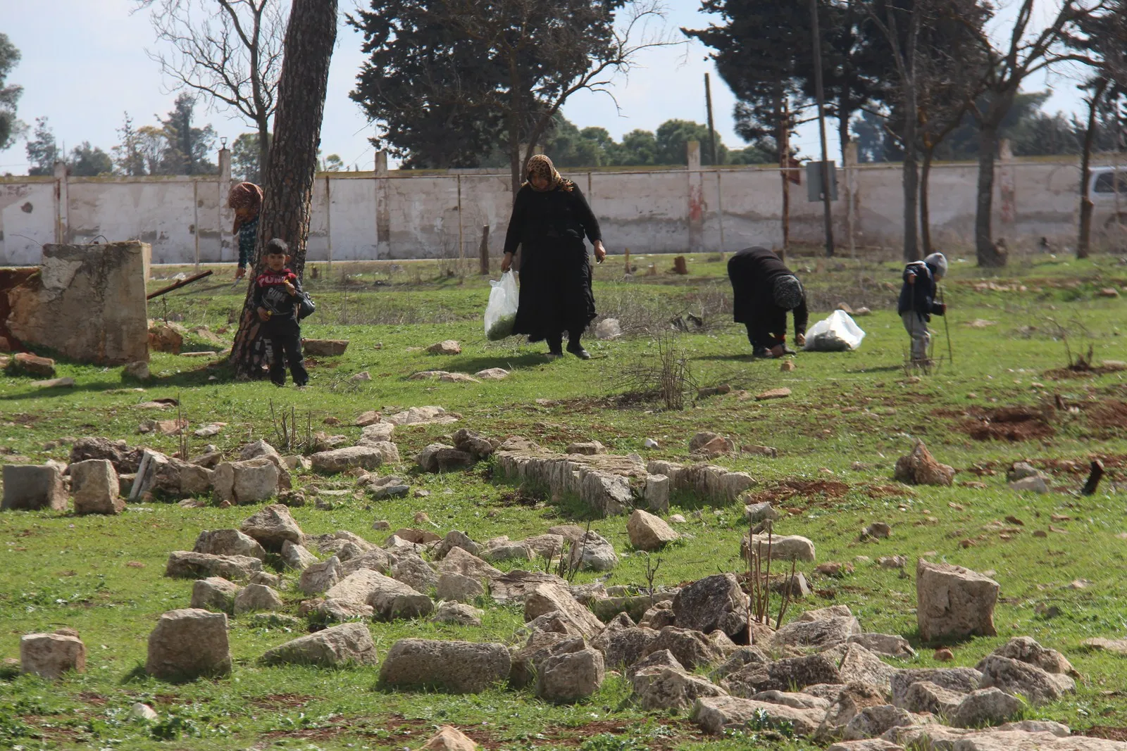 Tolik; pincarekî sûdemend e û rakirina wê bi hevkariya jinan