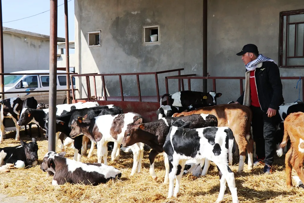 Projeya Dîcle; li Bakur û Rojhilatê Sûriyê ji projeyeke destpêkî ber bi projeyeke nimûne ve