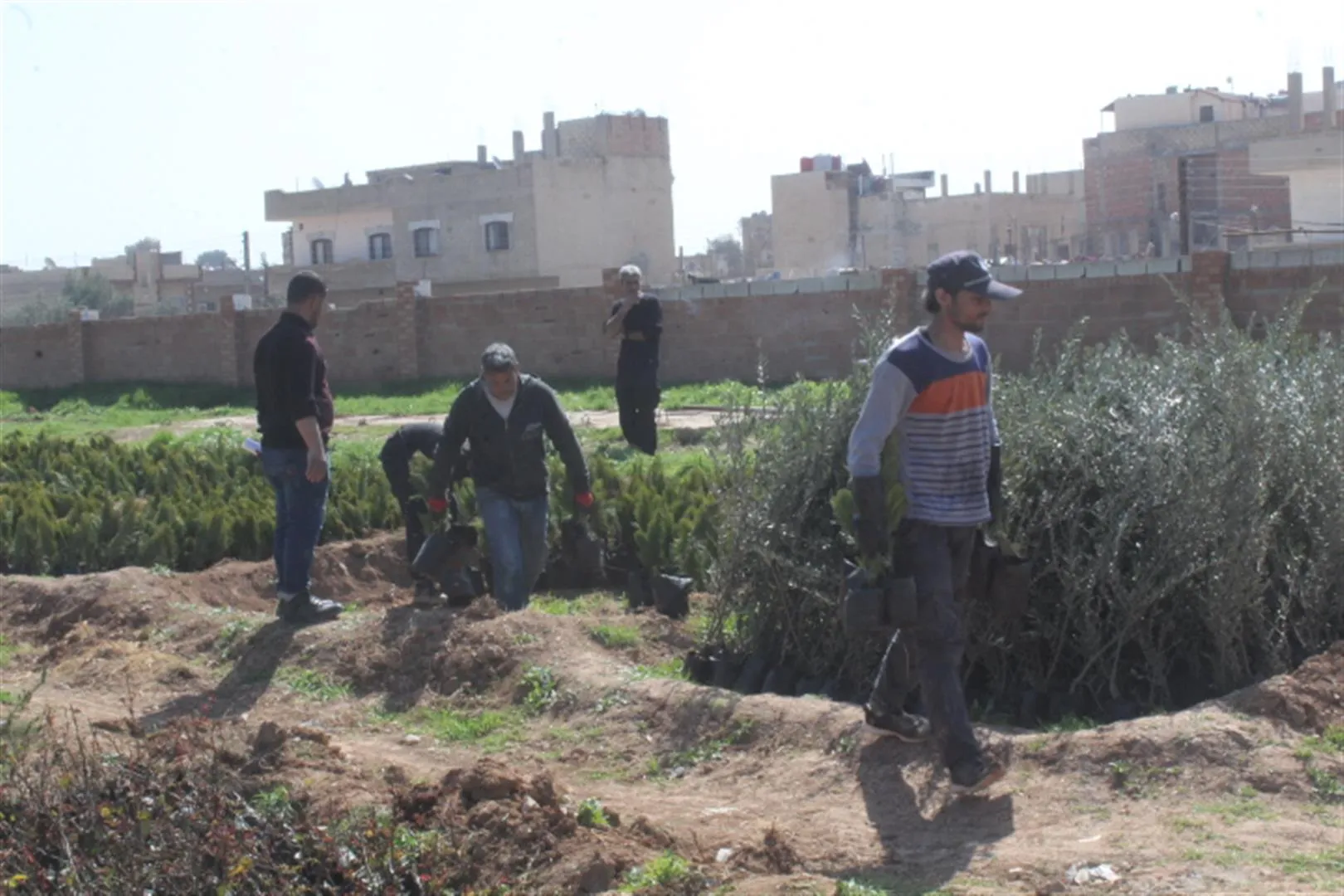 Li Hesekê 14 hezar dar ji bo çandiniyê hatin belavkirin