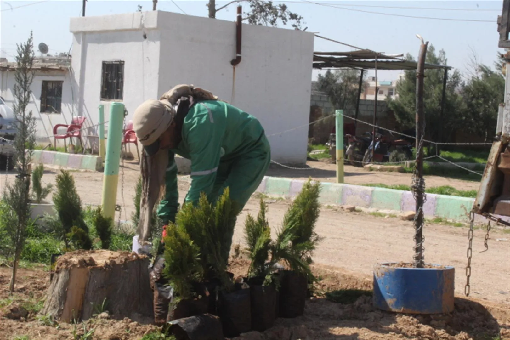 Li Hesekê 14 hezar dar ji bo çandiniyê hatin belavkirin