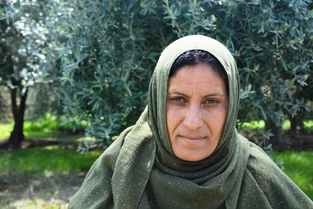 Hevgirtina civakî kilîta aramiya herêmê li hember aloziya aborî ye