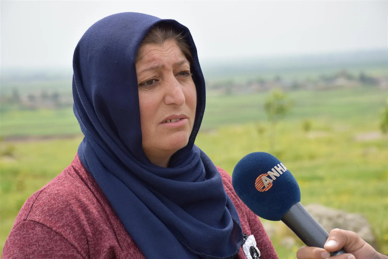Li Çilaxa girekî bûr veguherî daristaneke berhemdar