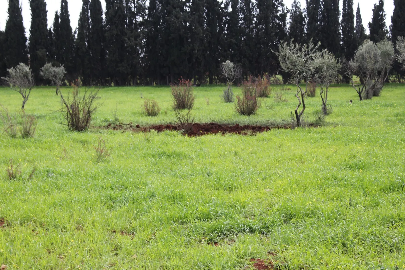 Koçberên Efrînê: Topbarana artêşa Tirk li Şehbayê biryarên navneteweyî binpê dike