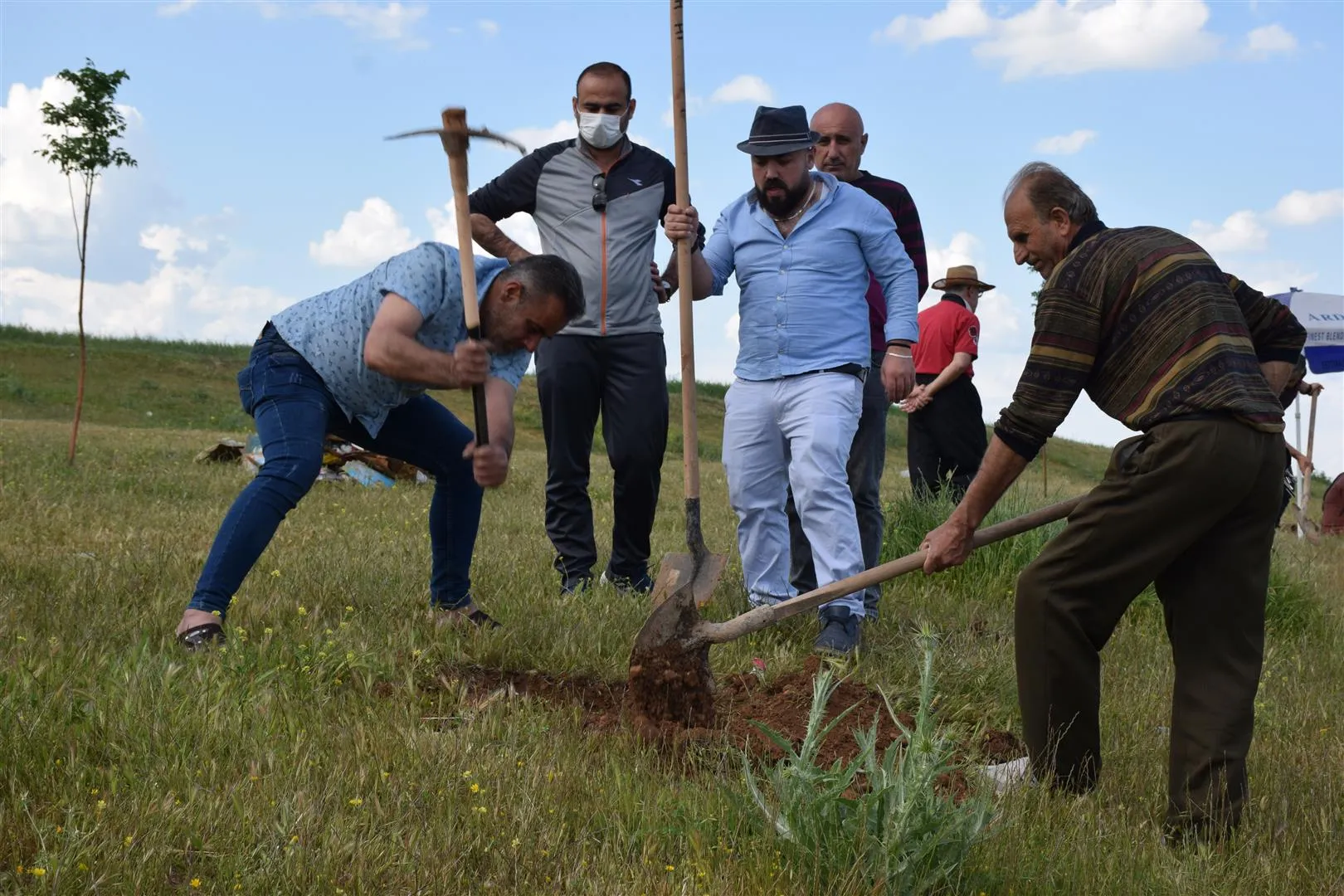 Şêniyên taxa Hilêlî ya Qamişloyê dest çandina daran kir