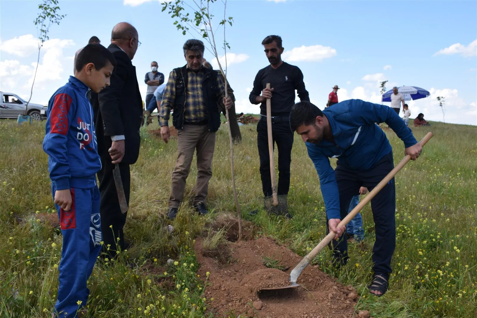 Şêniyên taxa Hilêlî ya Qamişloyê dest çandina daran kir