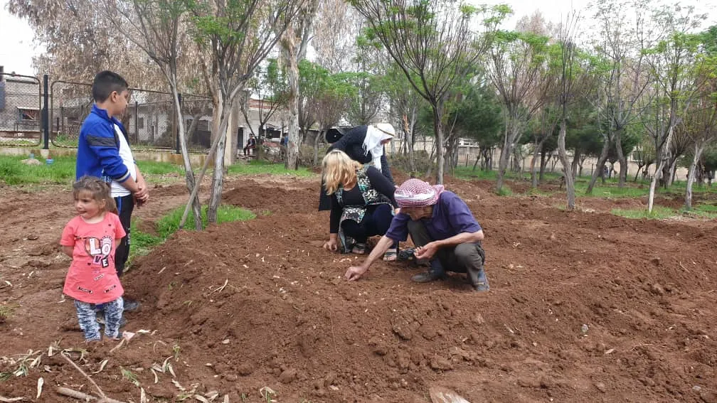 ​​​​​​​Şaredariya Gel a Dêrikê dest bi projeya çandina sebzeyan kir