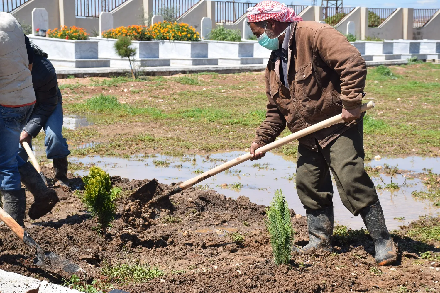 Li Qamişlo û Tirbespiyê bi boneya 4`ê Nîsanê dar hatin çandin