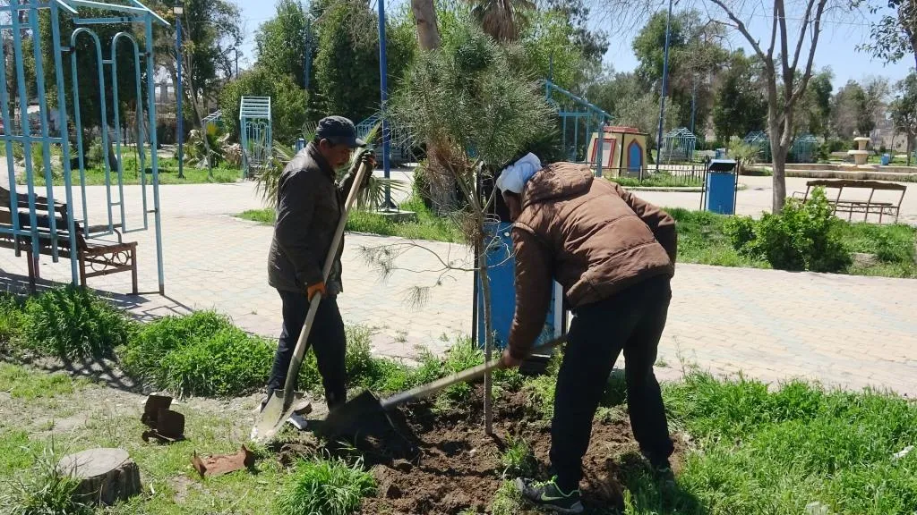 Şaredariya Reqayê bi boneya 4`ê Nîsanê dar çandin