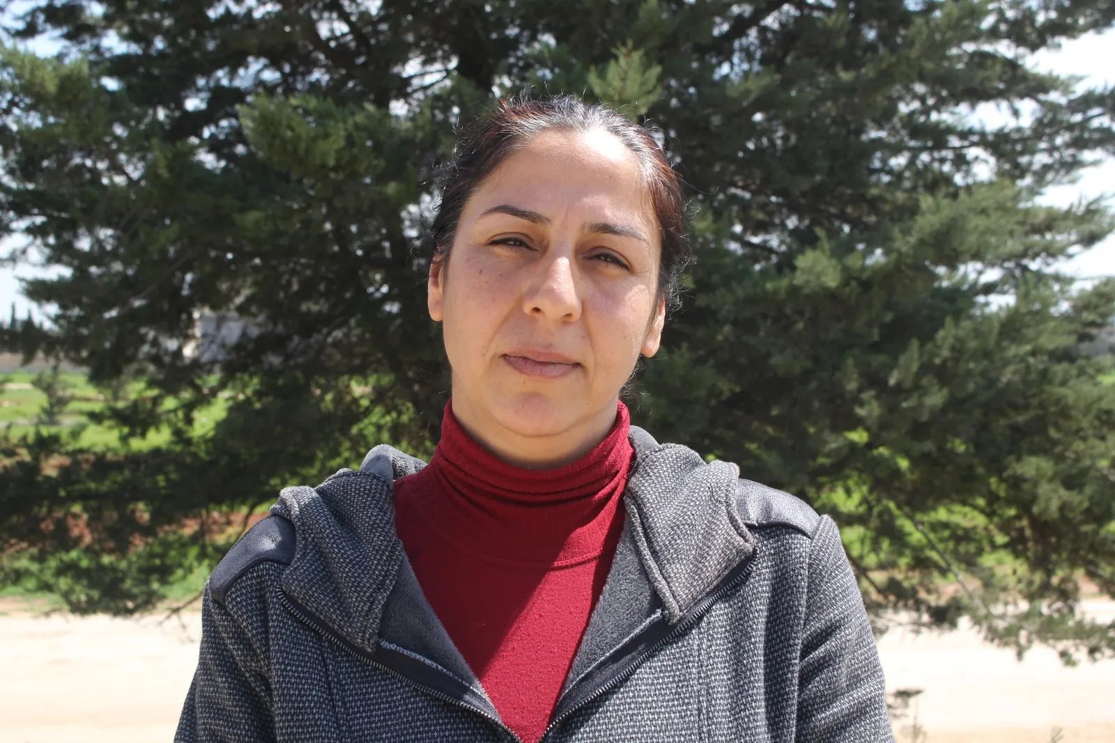 Şaneya Aloziyê ya Efrînê rêze biryar dan