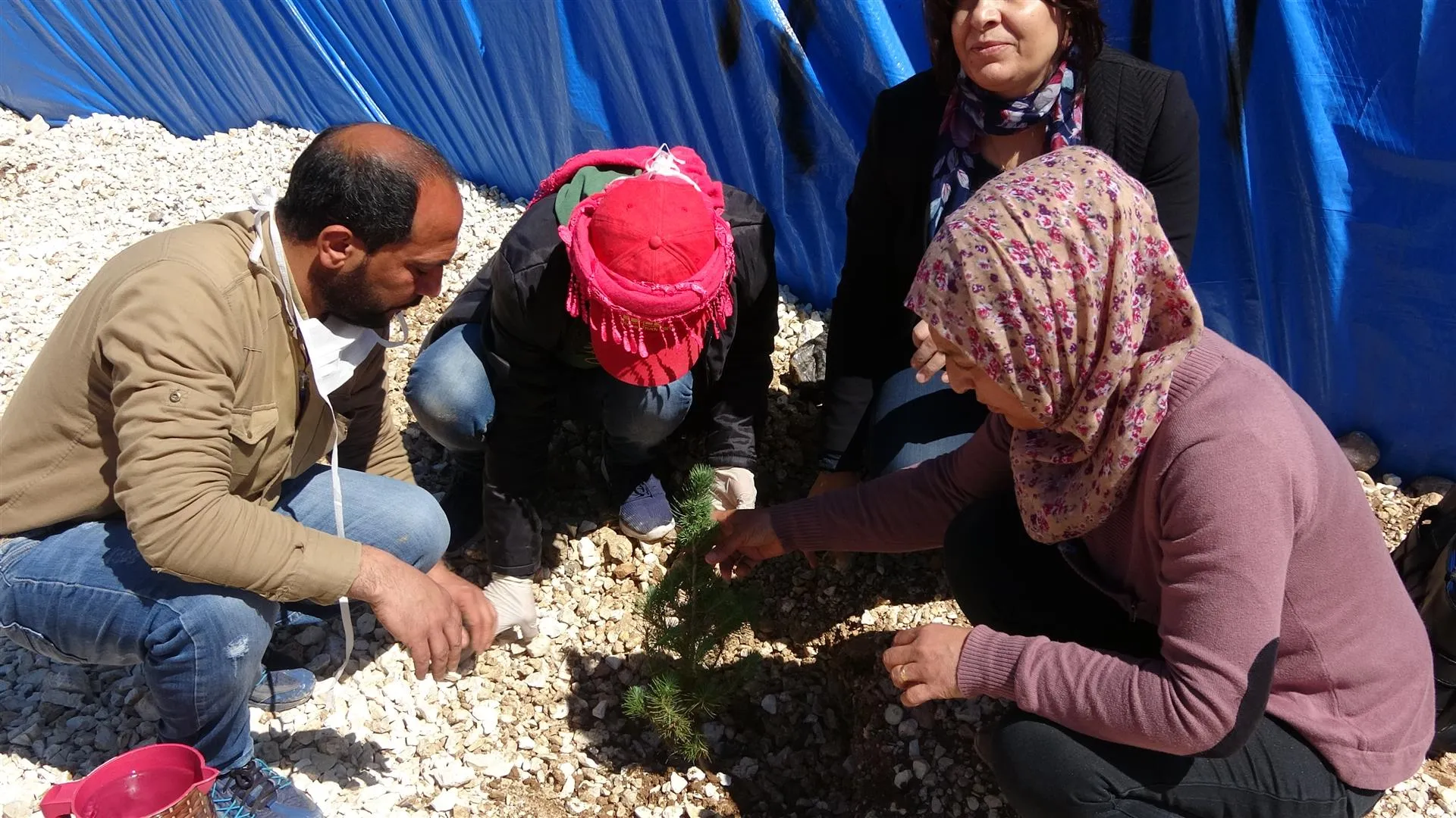 Kampa Weşûkanî bi darên 4`ê Nîsanê hate xemilandin