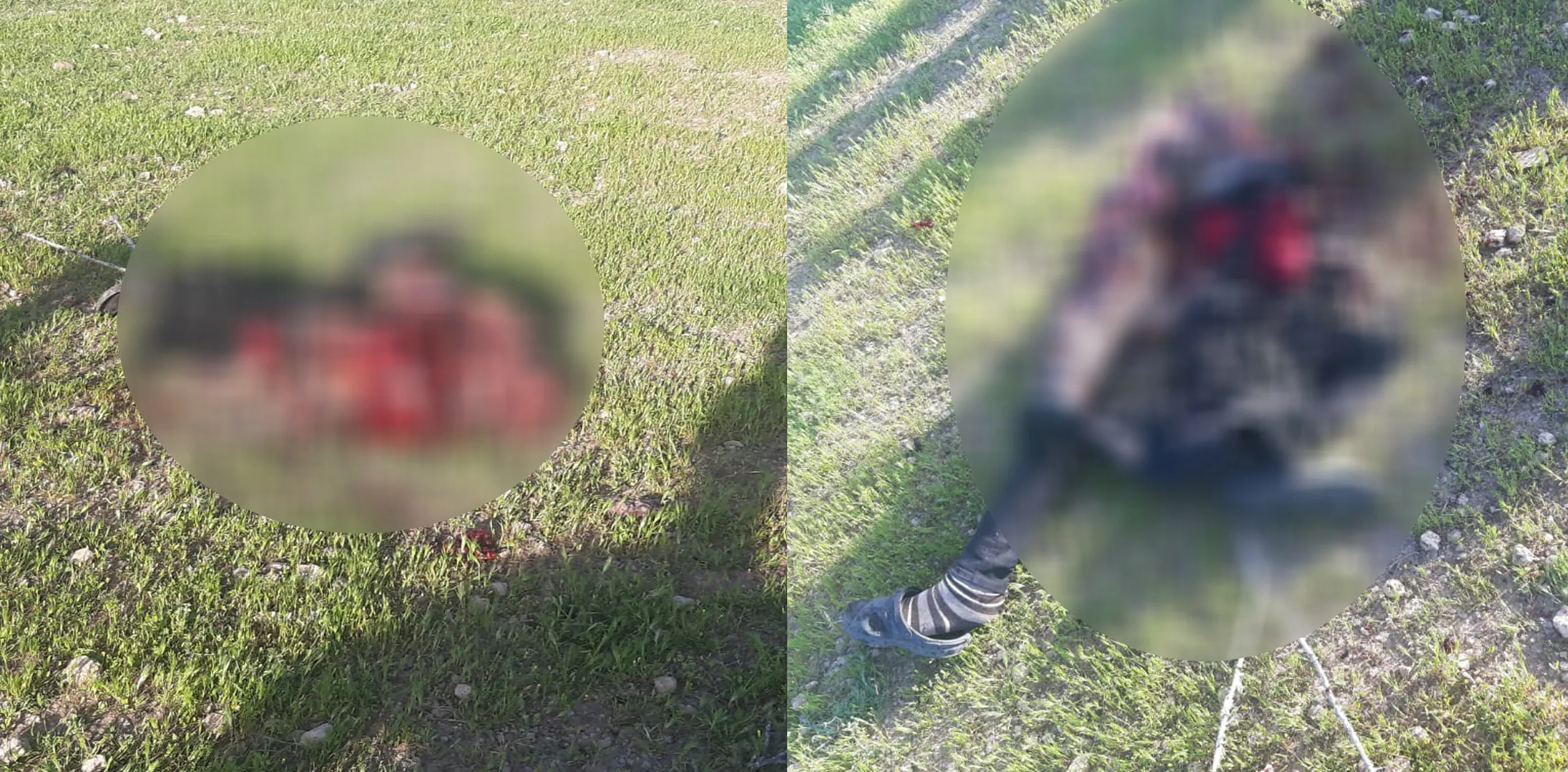 Çeteyên Tirkiyê di êrişên xwekujî de zarokan bi kar tînin