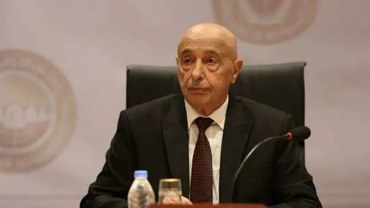 Parlemantoya Lîbyayê ji NY‘yê re: Welatê me ji aliyê Tirkiyê ve tê êrişkirin
