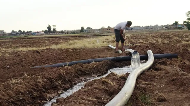 Cotkarên Şedadê careke din zeviyên xwe diçînin