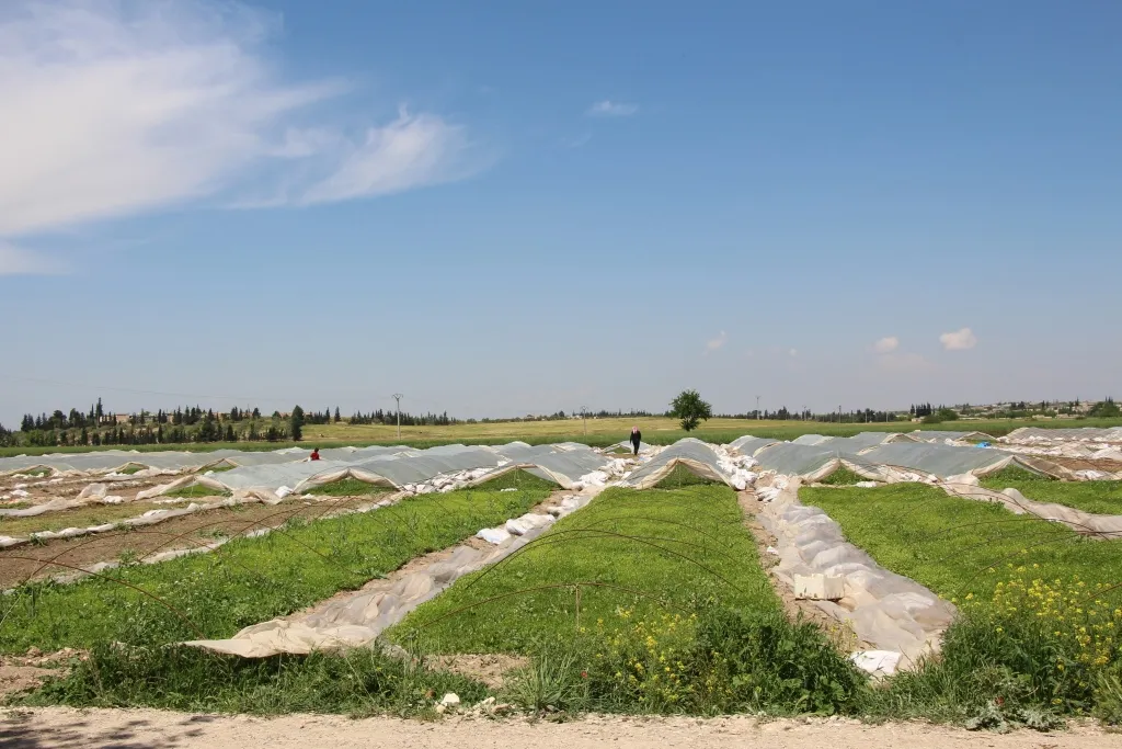 ​​​​​​​Bi hilberînên xwe rolek di peydakirina rêgeza xwetêrkirinê de dilîze