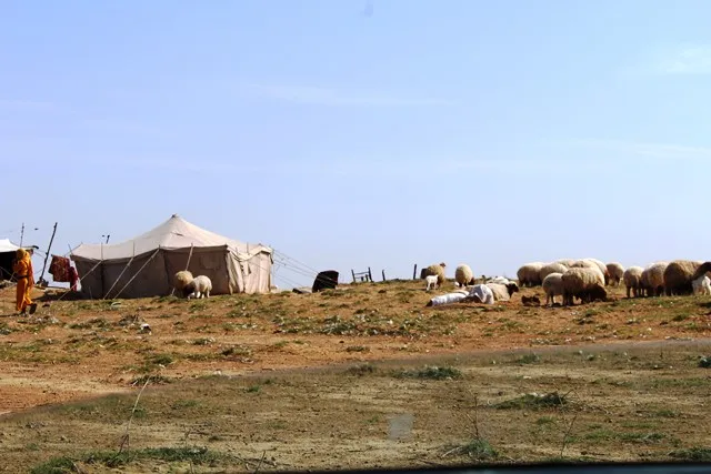 "Koçertî"qurbaniyên dewleta Tirk a dagirker û çeteyên wê ne