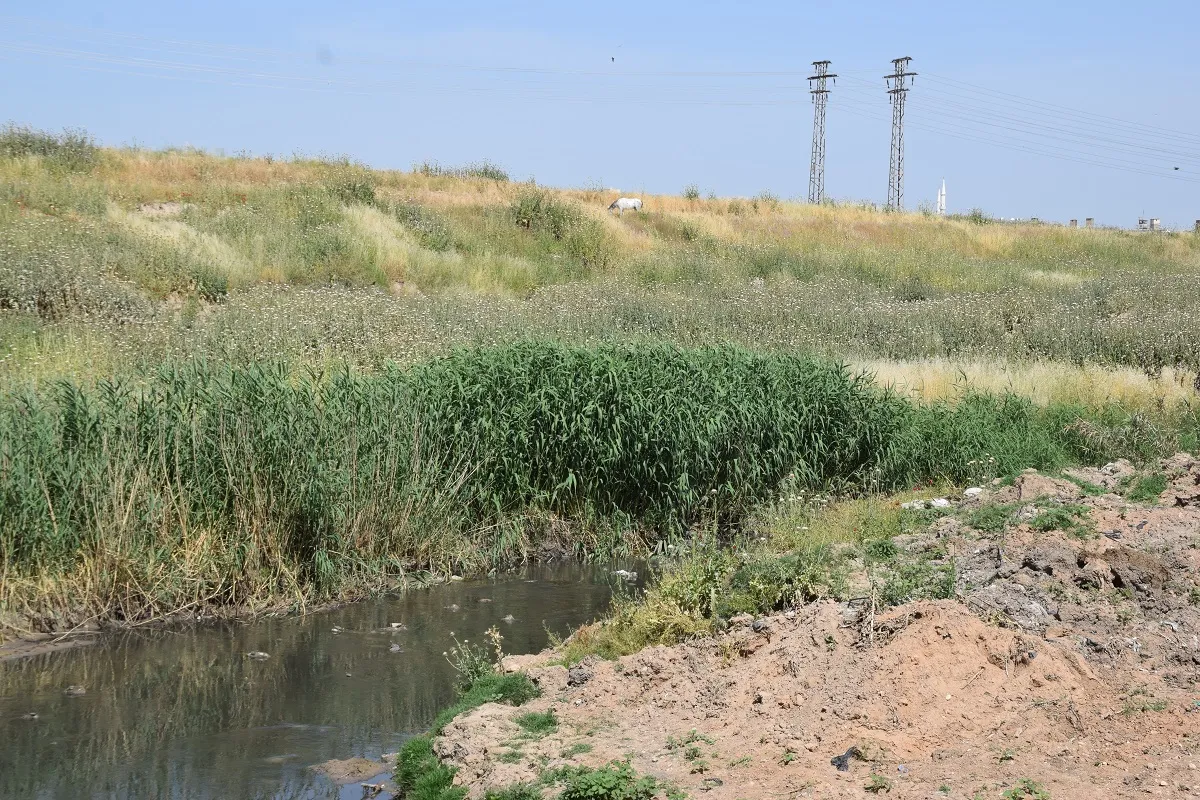 Paqijkirina çemê Ceqceq ber bi dawî ve diçe