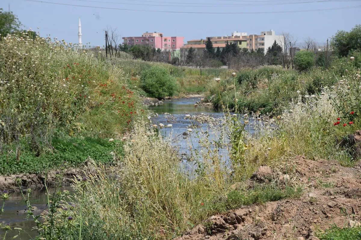 Paqijkirina çemê Ceqceq ber bi dawî ve diçe