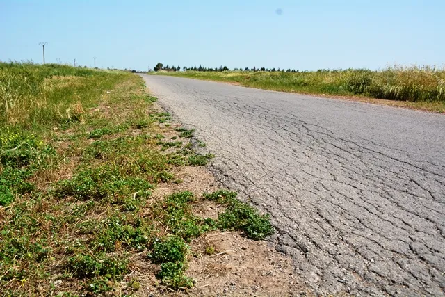 Li Tirbespiyê amadekariyên mewsima çinînê bi dawî bûn