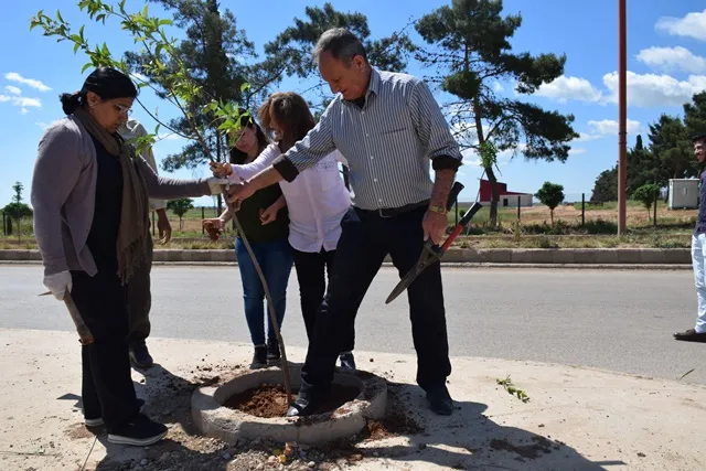 PYD`ê dest bi hemleya çandina daran kir