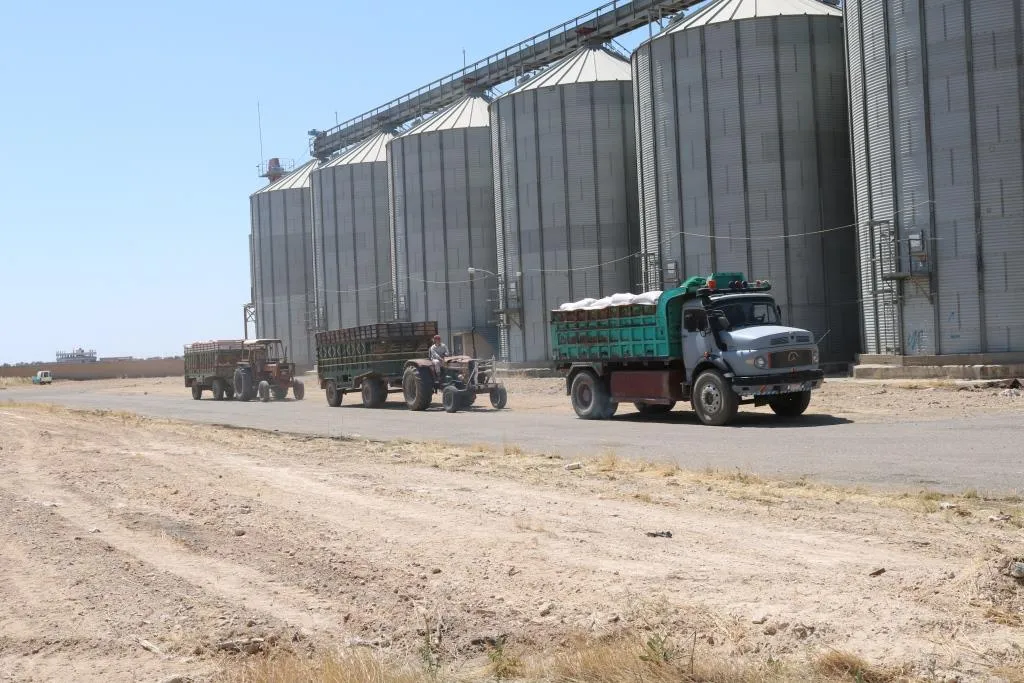 Komîteya Aboriyê ya Reqayê dest bi wergirtina genim kir
