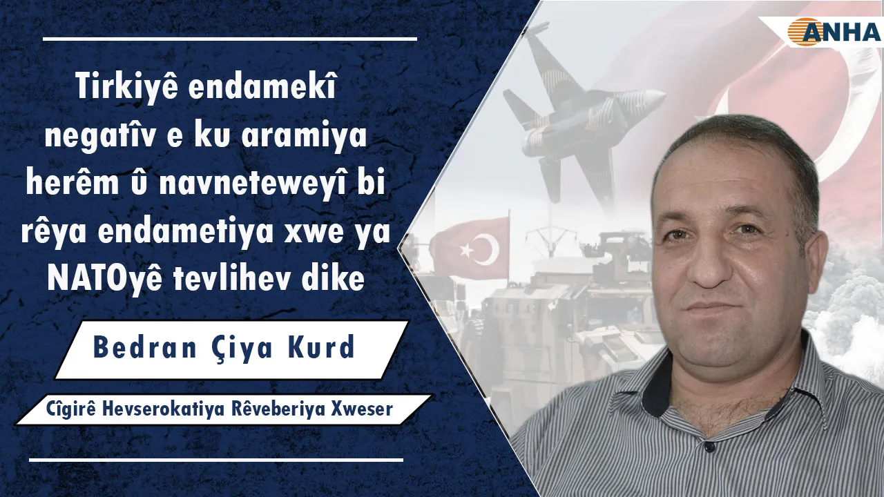 Bedran Çiya Kurd: Tirkiyê bi rêya NATO`yê ewlehiya herêmî û navdewletî xerab dike