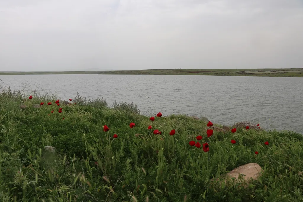 Piştî 30 salî hê jî şêniyên gundê Cilo azarên siyasetên hikumeta Baas dikişînin