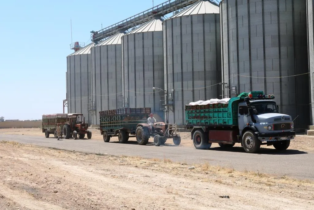 Cotkarên Reqayê fatoreyên genim wergirtin