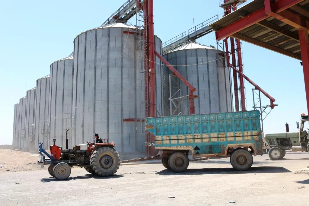 Cotkarên Reqayê fatoreyên genim wergirtin