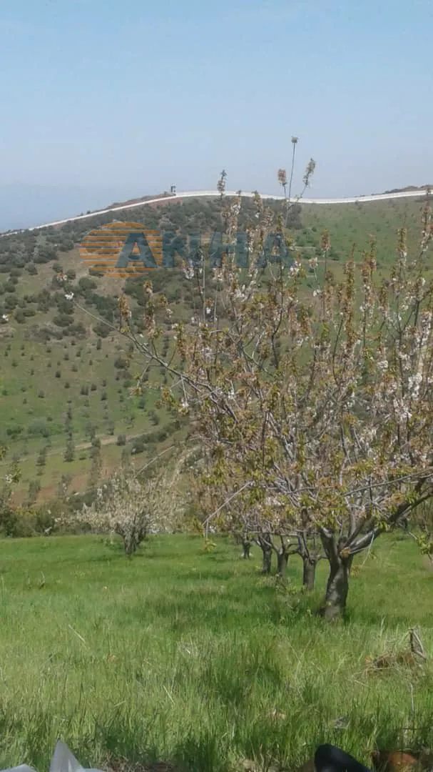 Siyaseta dewleta Tirk niyetên wê yên li herêmên dagirkirî eşkere dike