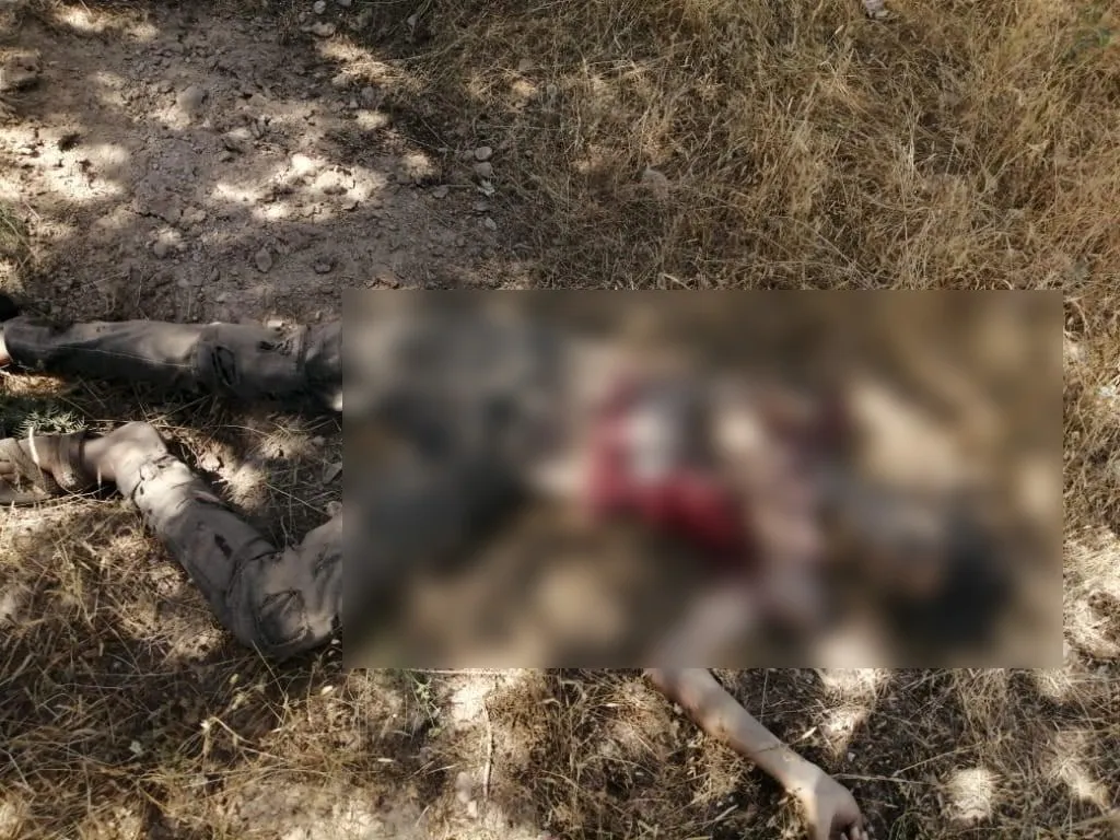 Çeteyên Tirkiyê li Girê Spî zarokek qetil kirin