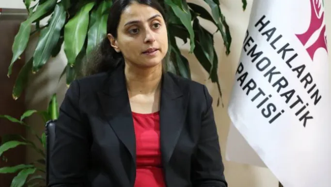 Feleknas Ûca: Êrişên li ser Kurdistanê encama konsepta giştî ne