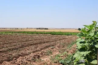 Hovîtiya dewleta Tirk zirarê digihîne çandiniya şêniyan