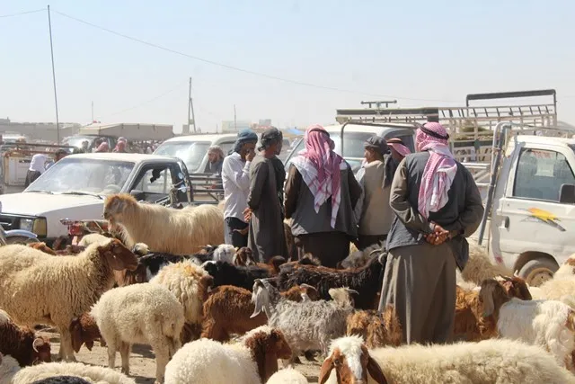 Ji ber bihatiyê welatî nikarin goştê Qurbanê bikirin