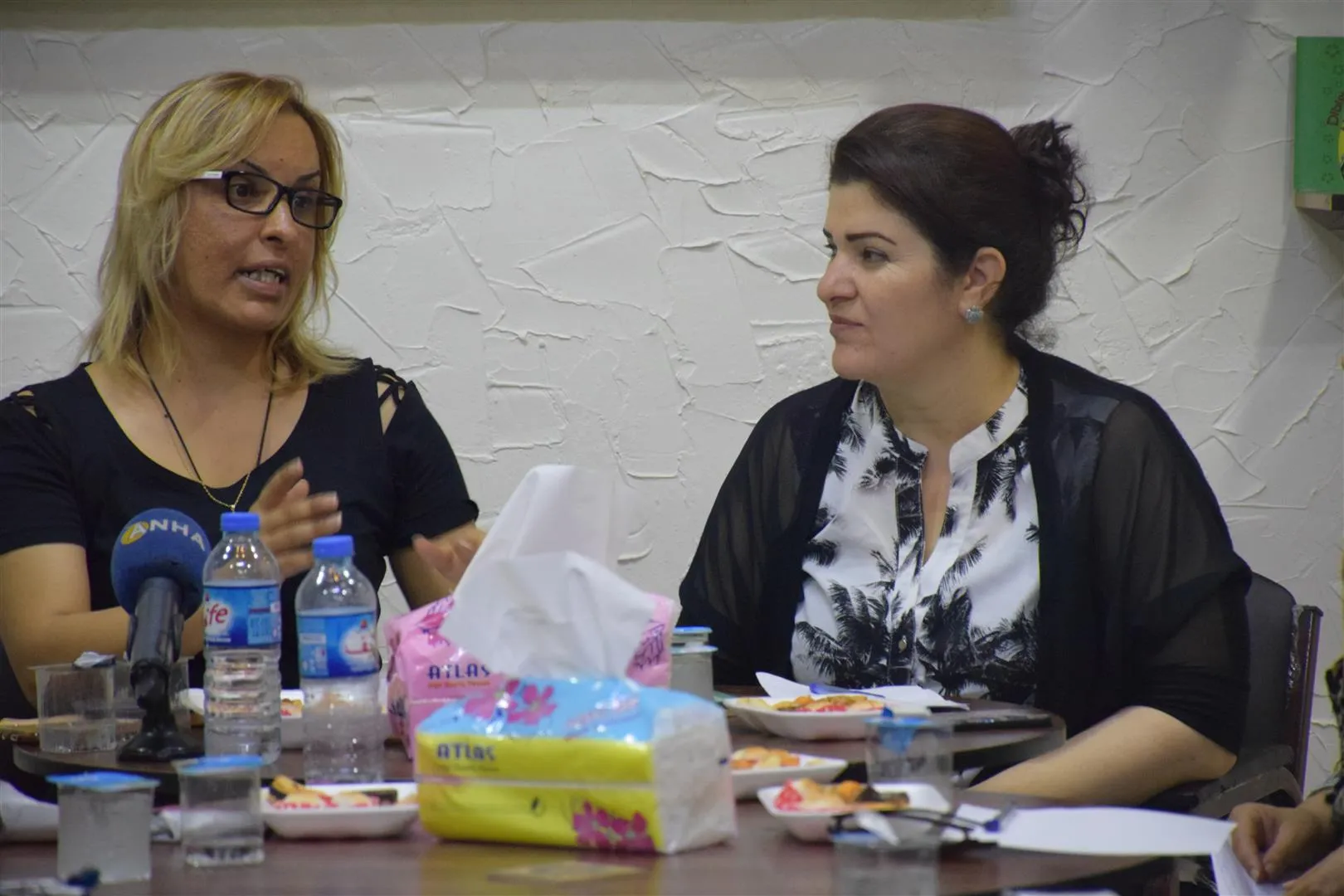 Li Qamişloyê panela "Jin û wêje"