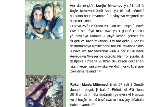 Rewşa jinan li herêmên di bin dagirkeriya dewleta Tirk de