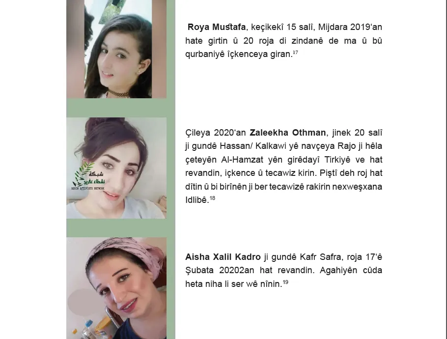Rewşa jinan li herêmên di bin dagirkeriya dewleta Tirk de