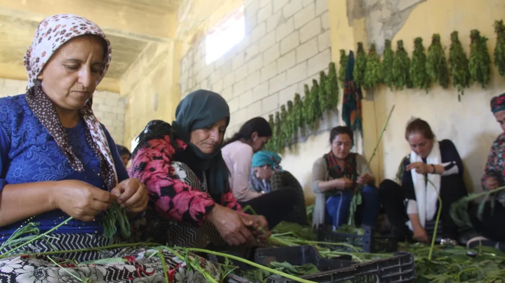 Jinên Efrînî bi projeyan aboriya xwe xurt dikin