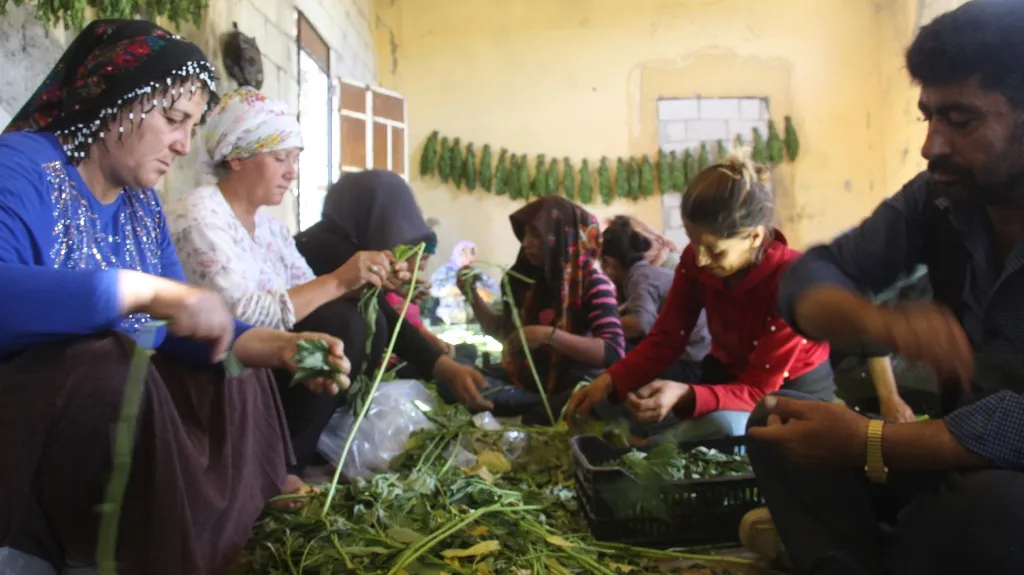 Jinên Efrînî bi projeyan aboriya xwe xurt dikin