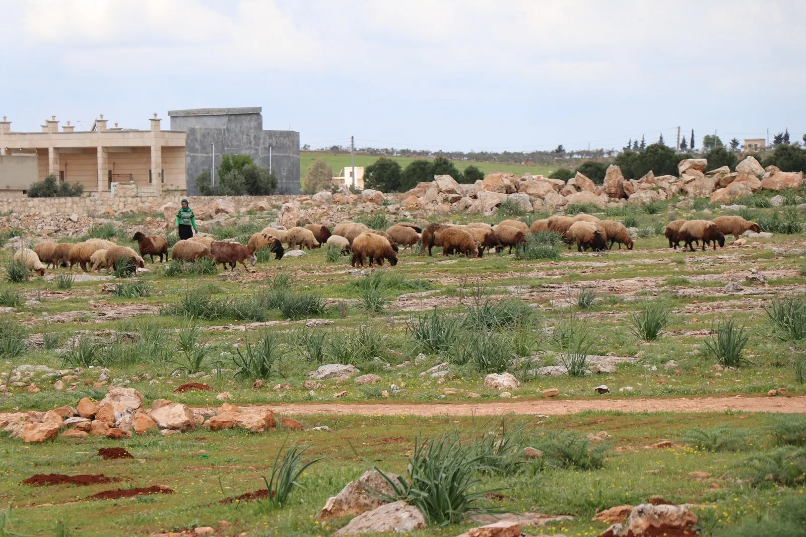 Ji kevintirîn gundên dîrokî li Sûriyê, Gundê Qeramil e