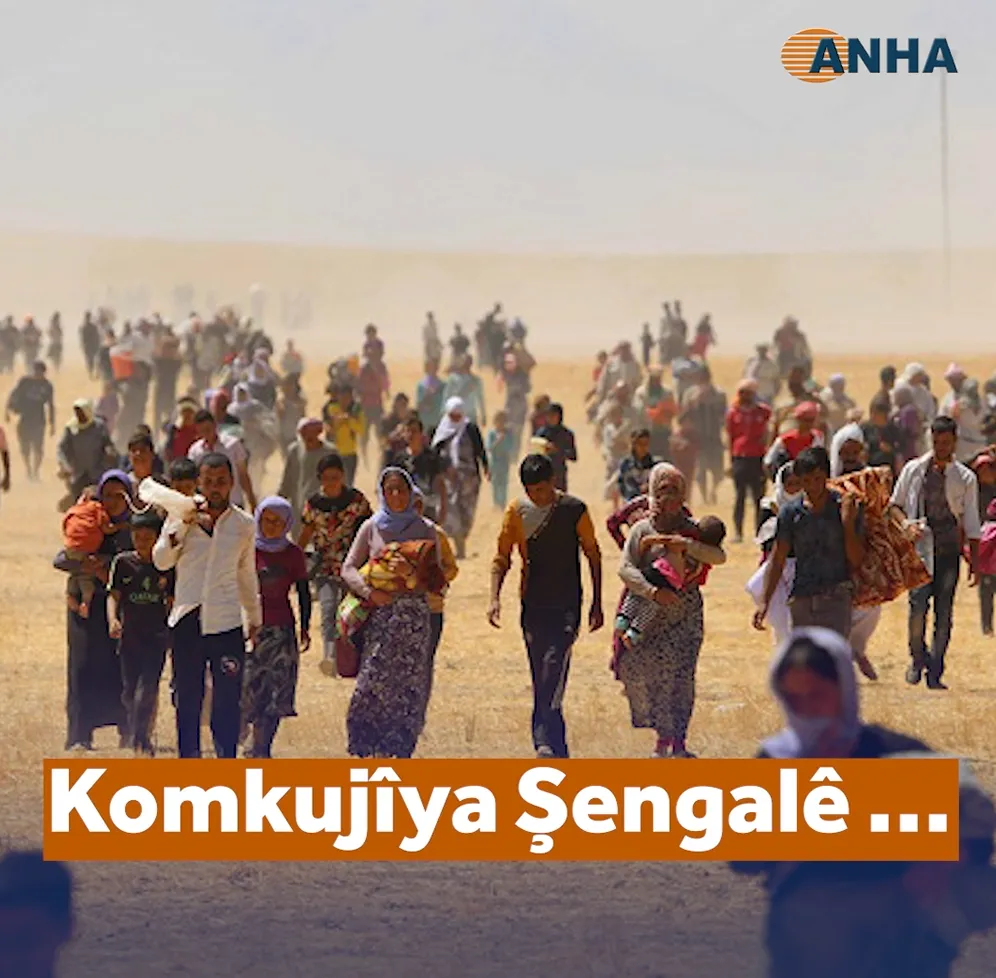 Komkujîya Şengalê