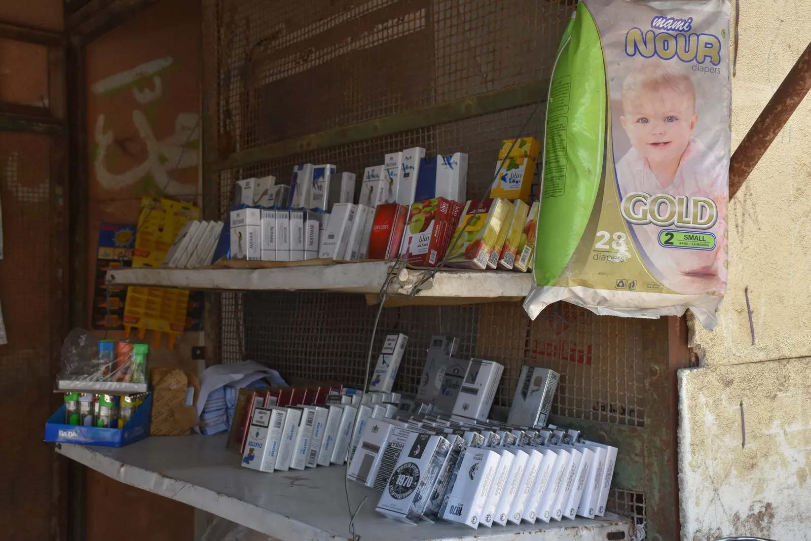 Koçberên Efrînê yên li Şehbayê bi kişkan debara xwe dikin