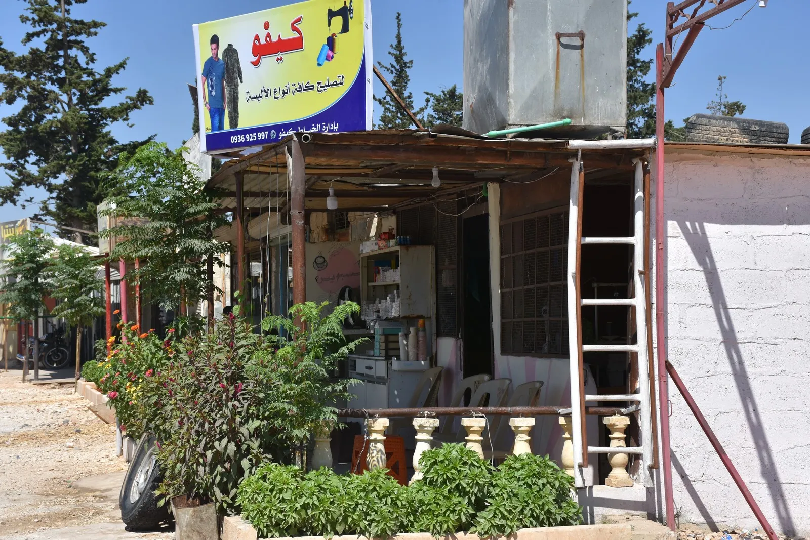 Koçberên Efrînê yên li Şehbayê bi kişkan debara xwe dikin