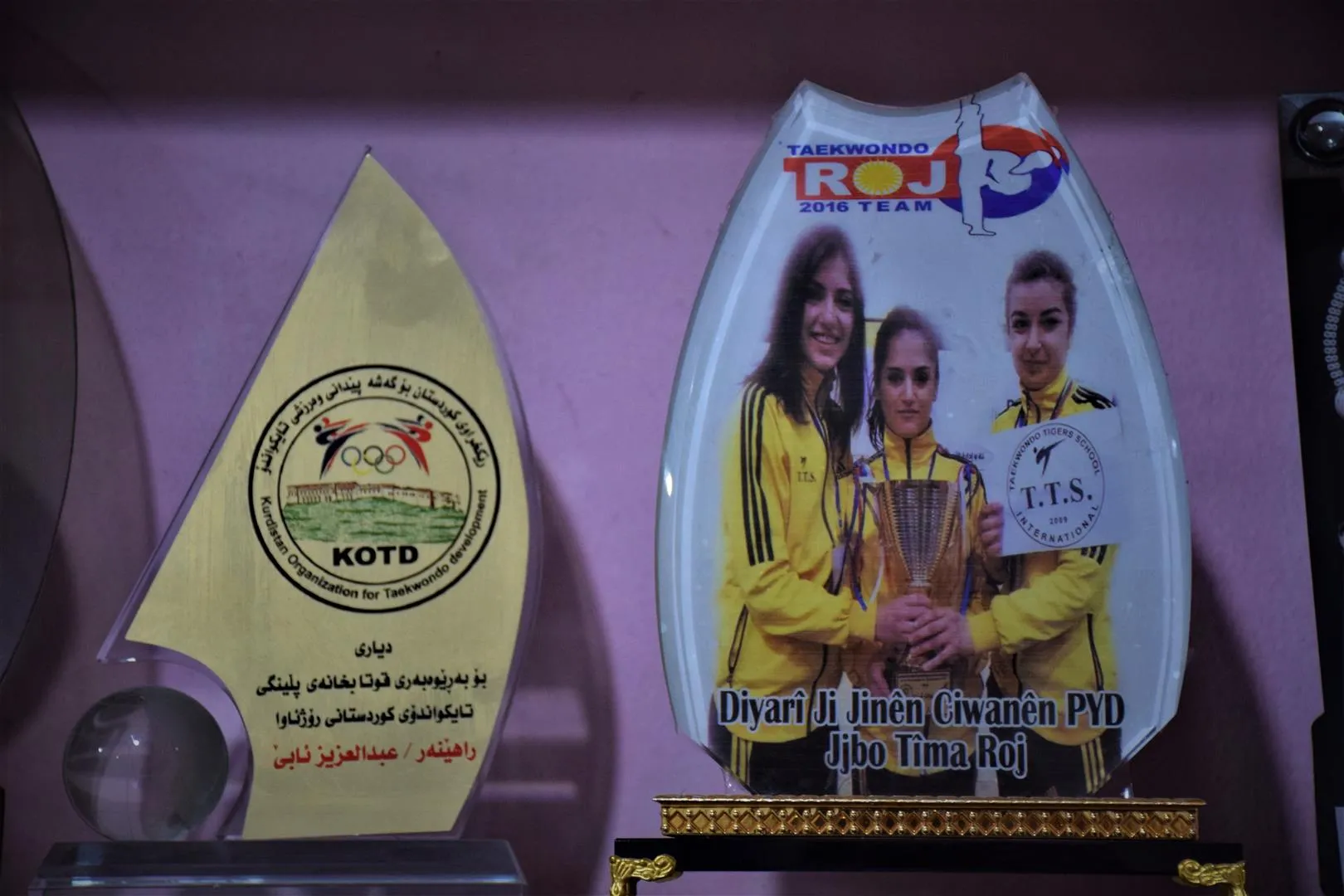 ​​​​​​​Dibistana Nimûr Taykowendo beşdarî turnuvaya navnetewî ya Tunisê bû