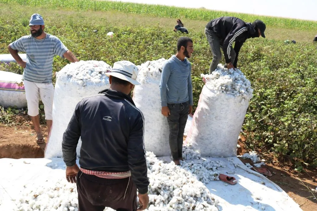 Cotkarên pembo li ser biryara Rêveberiya Xweser çi dibêjin?