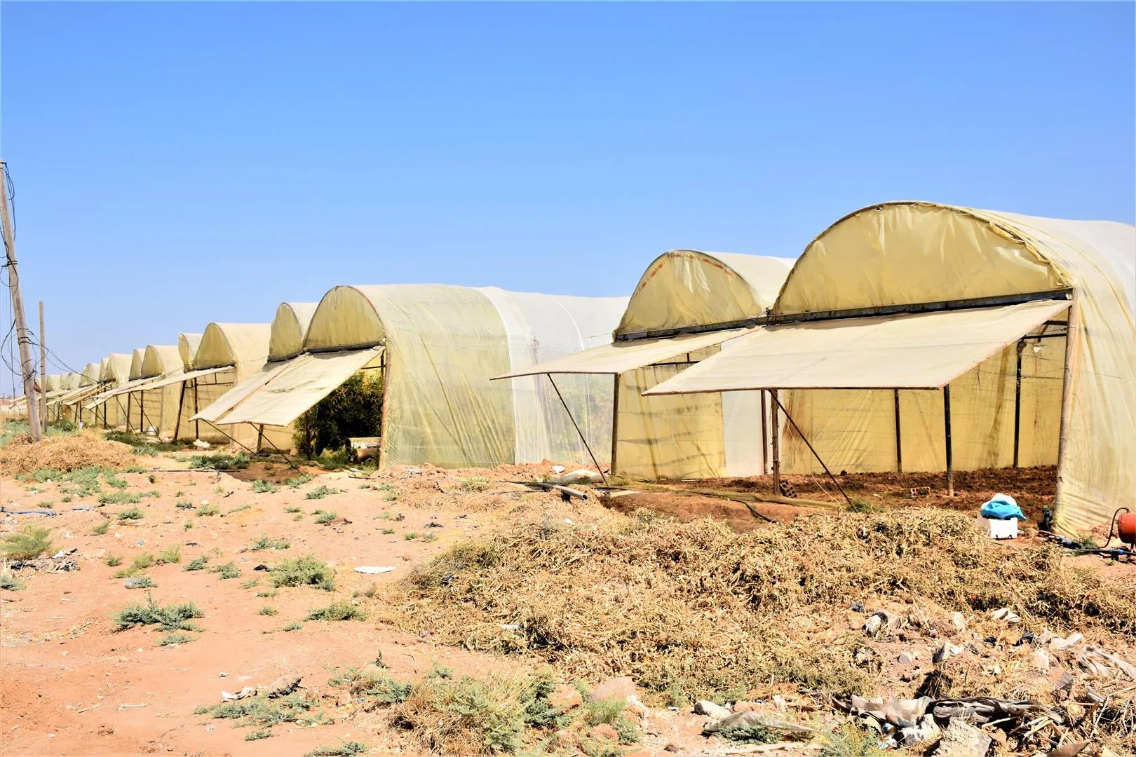 Serkeftina projeya çandiniyê hişt ku projeyên berfirehtir pêk bên