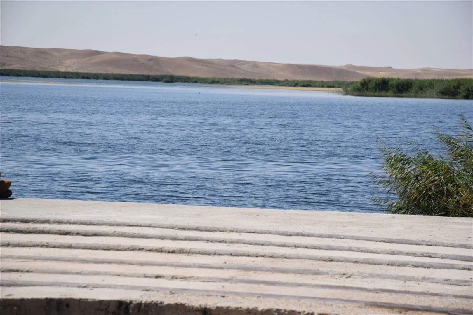 Li Holê çalakiyek hunerî ya helbestan li dar ket